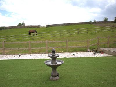 Picture 34